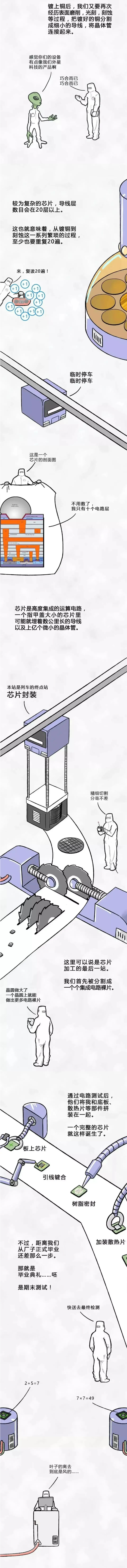 香港精准24码